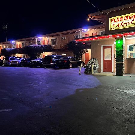 Flamingo Motel Oxnard Kültér fotó